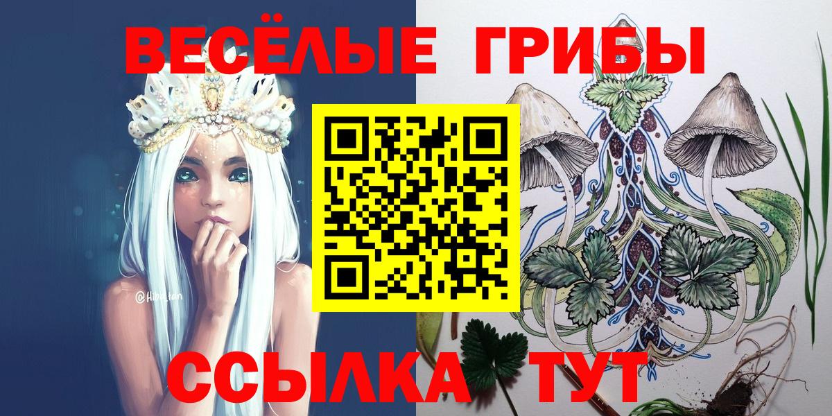 Псилоцибиновые грибы мицелий Великие Луки