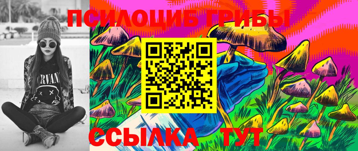Псилоцибиновые грибы Cubensis  Вход с VPN  Великие Луки 