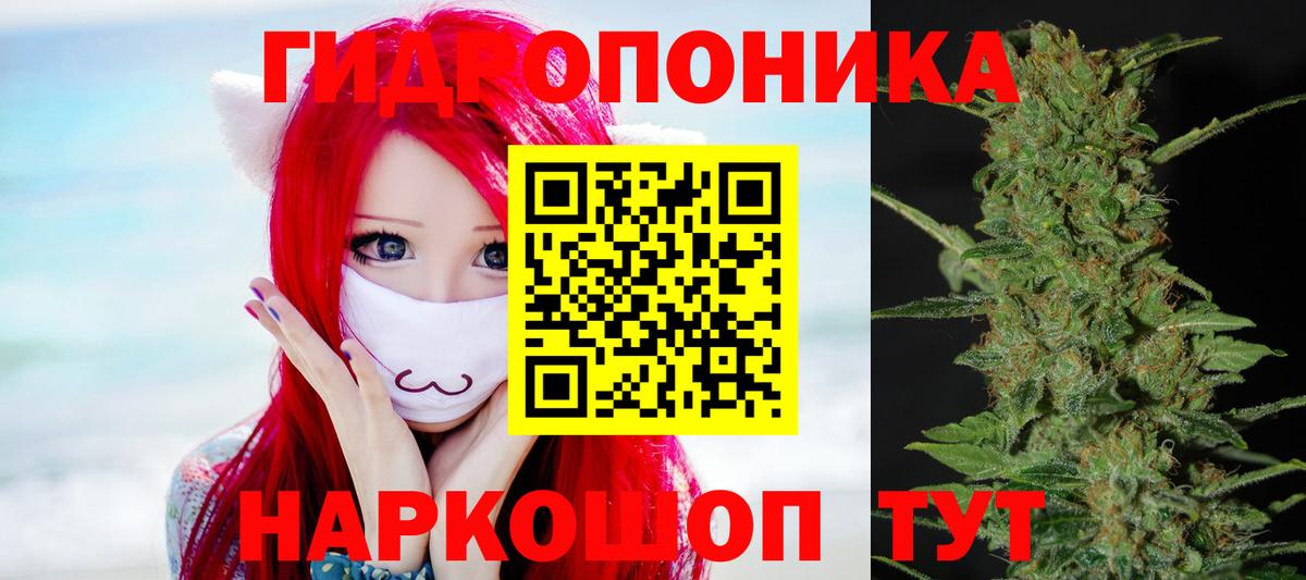 Конопля Amnesia  Канабис White Widow  Вход с VPN  Великие Луки  Шишки марихуана LSD WEED 